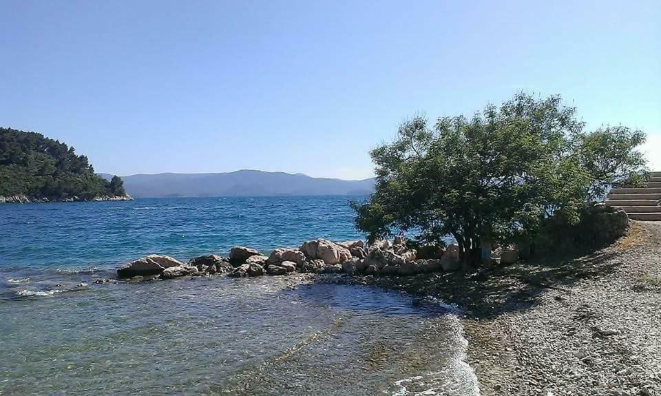 Apartmani Kremena Small Beach 200M 클레크 외부 사진